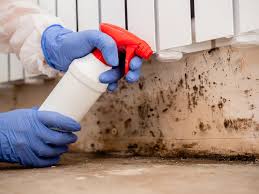 Mold Remediation for Vacation Homes in Chickasha, OK